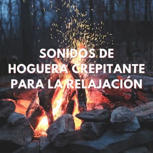 Luz De La Hoguera: Sonidos De Hoguera Crepitante Para La Relajación - Sonidos de fuego nocturno de Noom