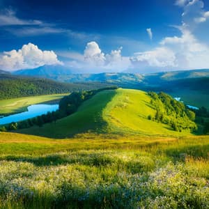 Tonos Pacíficos: Estructura Musical Lofi - Chill-hop atmosférico