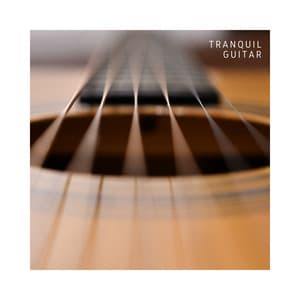 Tranquil Guitar: Chill Instrumental Sounds - Relaxing Jazz Guitar Academy