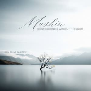 Mushin Consciousness without Thoughts - Ren Shinrin-Yoku
