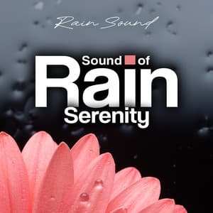 Sound Of Rain Serenity - Rain Sound