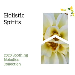 Holistic Spirits - 2020 Soothing Melodies Collection - Spa Music Relaxation