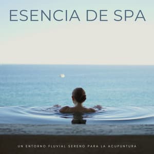 Esencia De Spa: Un Entorno Fluvial Sereno Para La Acupuntura - Reiki y Tai Chi Armonía