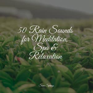 50 Rain Sounds for Meditation, Spa & Relaxation - Meditação Yoga