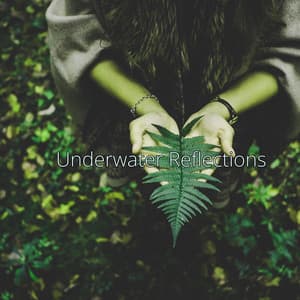 Underwater Reflections - Eon Wilder