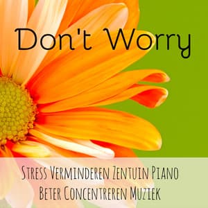 Don't Worry - Stress Verminderen Zentuin Piano Beter Concentreren Muziek voor Chakra Reiniging Mindfulness Meditatie met Instrumentale New Age Meditatieve Geluiden - Zen Music Garden