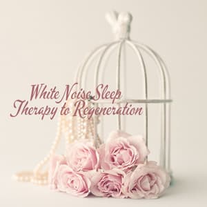 White Noise Sleep Therapy to Regeneration - Sounds Effects Academy