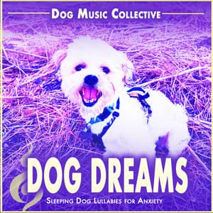 Dog Dreams: Sleeping Dog Lullabies for Anxiety - Dog Music Collective