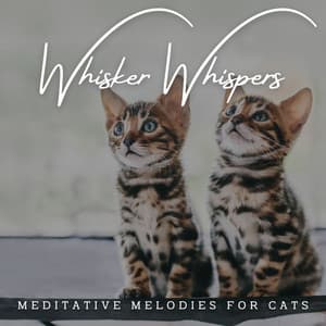 Piano Whisker Whispers: Meditative Melodies for Cats - Classical Piano Music Masters