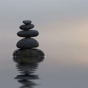 Harmonies In Haystacks - MusicoterapiaTeam