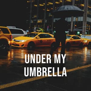 Under My Umbrella: NYC in a Thunderstorm, Take a Walk Through the Rain in One of the Liveliest Cities in the World - Thunder Meditation