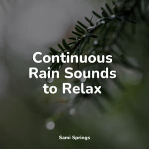 Continuous Rain Sounds to Relax - Rain Drops for Sleep