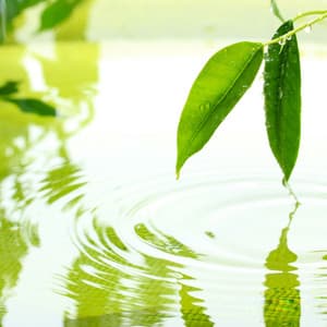 Liquid Reflections: Blissful Waters - Water FX