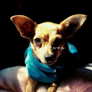 パーティーアニマル - Vintage Cafe Background Music