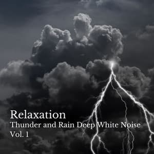 Relaxation: Thunder and Rain Deep White Noise Vol. 1 - De-stressing White Noise