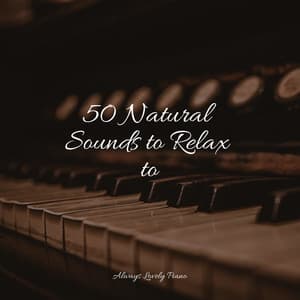 Piano for a Calming Ambience - Concentrate with Classical Piano