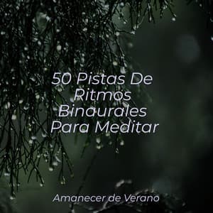 50 Pistas De Ritmos Binaurales Para Meditar - Relajacion Del Mar