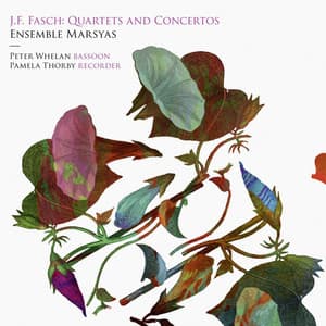 Fasch: Quartets and Concertos - Johann Friedrich Fasch