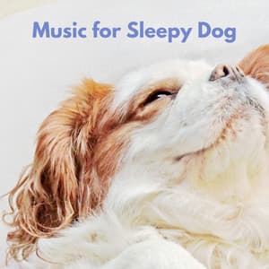 Music for Sleepy Dog - Breakfast Jazz Playlist