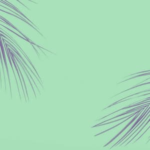 Incredible Ambiance for Morning Sunshine - Restaurant Music Deluxe