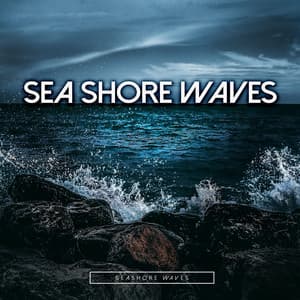 Sea Shore Waves - Seashore Waves