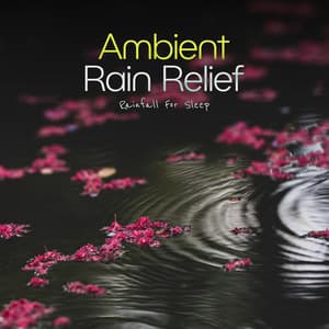 Ambient Rain Relief - Rainfall For Sleep