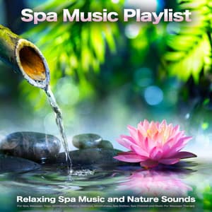 Spa Music Playlist: Relaxing Spa Music and Nature Sounds For Spa, Massage, Yoga, Meditation, Healing, Wellness, Mindfulness, Spa Station, Spa Channel and Music For Massage Therapy - Spa Station
