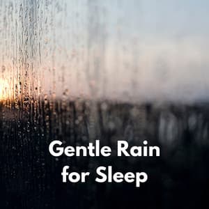 Gentle Rain for Sleep - ASMR Rain Sounds