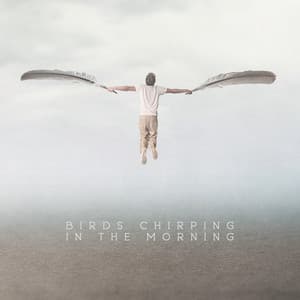 Birds Chirping in the Morning: Sound Effect & Relaxing Music Compilation - Serenity Music Relaxation