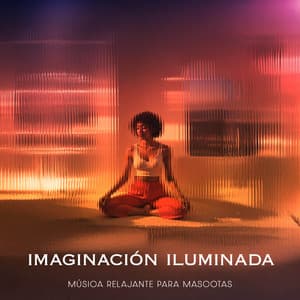 Imaginación Iluminada - Música relajante para mascotas