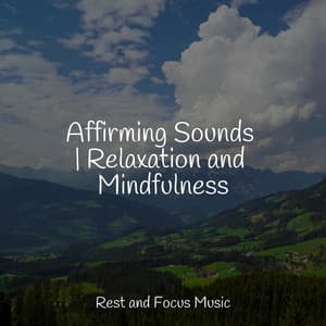 Affirming Sounds | Relaxation and Mindfulness - White Noise Sleep Sounds