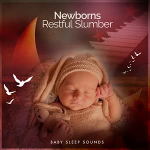 Newborns Restful Slumber - Baby Sleep Sounds
