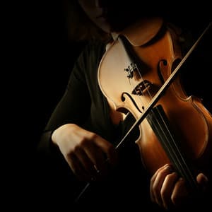 Harmonious Orchestra for a Cat’s Relaxation - Charles Anderson