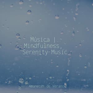 Música | Mindfulness, Serenity Music - Yoga Music