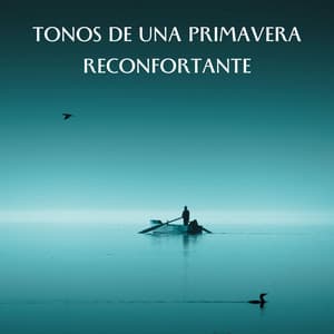 Tonos De Una Primavera Reconfortante - Sonidos de agua para spa