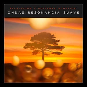 Ondas Resonancia Suave - Relajacion y Guitarra Acustica