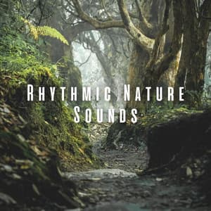 Rhythmic Nature Sounds - Ambient Nature Sounds