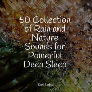 50 Collection of Rain and Nature Sounds for Powerful Deep Sleep - Natural Samples
