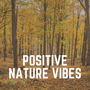 Positive Nature Vibes - Life Sounds Nature