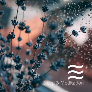 La Collecion de Zumbidos Tranquilos Para Soñar Genial y Relajación Mejor - Academia de Sonidos de la Naturaleza para el Masaje