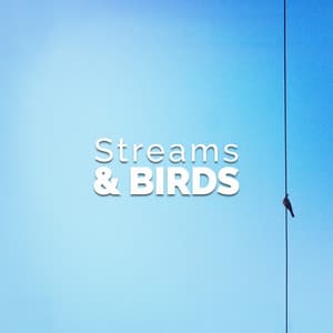 Streams & Birds - Forest Sounds Relaxing Spa Music Singing Birds