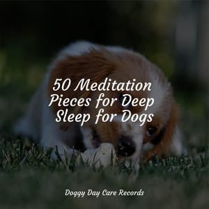 50 Meditation Pieces for Deep Sleep for Dogs - Relaxing Music for Dogs