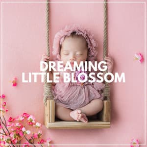 Dreaming Little Blossom - Help Your Baby Sleep Through The Night