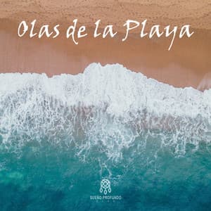 Olas de la Playa - Lluvia Del Bosque