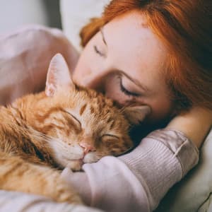 Confort Para Gatos: Sonidos Suaves Para Relajarse - Brisa Melódica