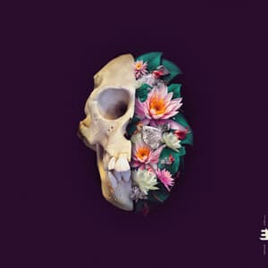 Monkey Mind - Verneri Pohjola