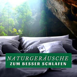 Naturgeräusche zum Besser Schlafen: Beruhigende Lieder zum Schnell Einschlafen und Klares Träumen - Schlaflieder