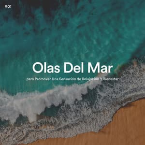 #01 Olas Del Mar para Promover Una Sensación de Relajación Y Bienestar - Olas del Mar
