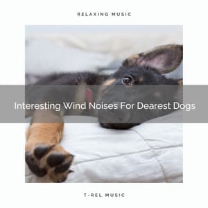 Interesting Wind Noises For Dearest Dogs - Dog Relax