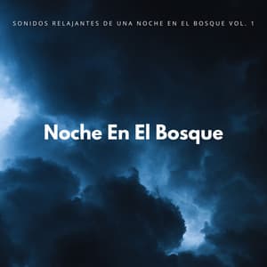 Sonidos Relajantes De Una Noche En El Bosque Vol. 1 - La fuga del bosque